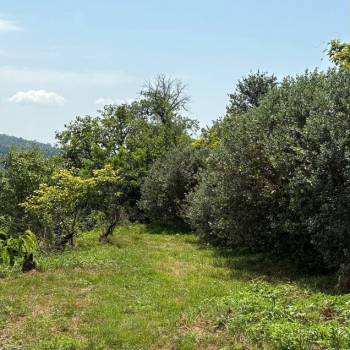 Продается Участок, 2800 м²