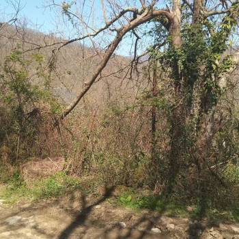 Продается Участок, 600 м²