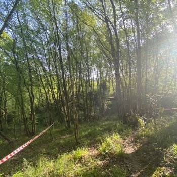 Продается Участок, 450 м²