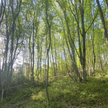 Продается Участок, 450 м²