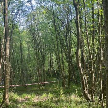 Продается Участок, 450 м²