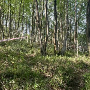 Продается Участок, 450 м²