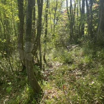 Продается Участок, 450 м²