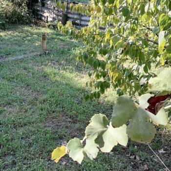 Продается Участок, 400 м²