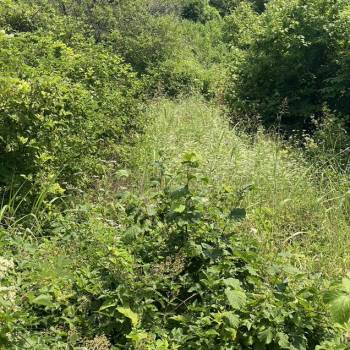 Продается Участок, 500 м²