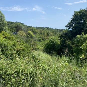 Продается Участок, 500 м²