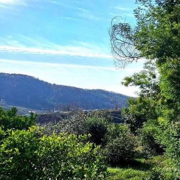 Продается Участок, 610 м²