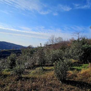 Продается Участок, 610 м²