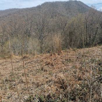 Продается Участок, 500 м²