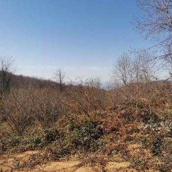 Продается Участок, 500 м²