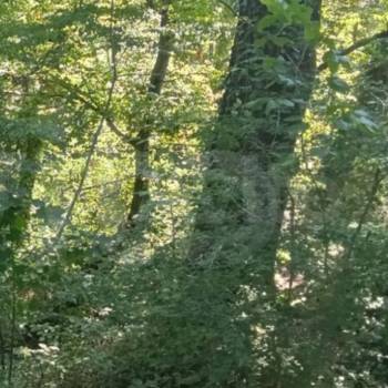 Продается Участок, 700 м²