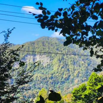 Продается Участок, 900 м²