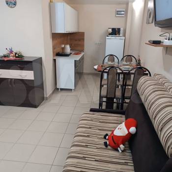 Продается 1-комнатная квартира, 24,2 м²