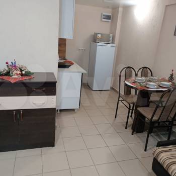 Продается 1-комнатная квартира, 24,2 м²