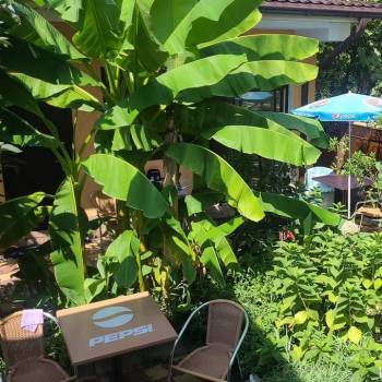 Сдается 2-х комнатная квартира, 41 м²