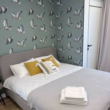 Сдается 1-комнатная квартира, 43 м²