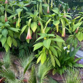 Продается Дом, 551 м²