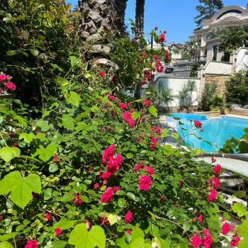 Продается Дом, 551 м²