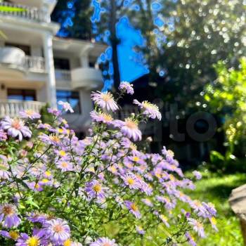 Продается Дом, 551 м²