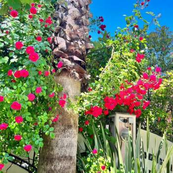 Продается Дом, 551 м²