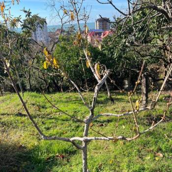 Продается Участок, 1100 м²