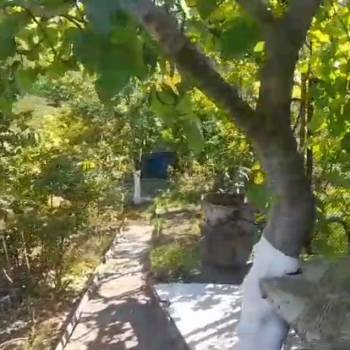 Продается Участок, 500 м²