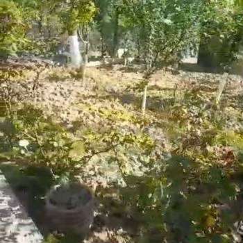 Продается Участок, 500 м²