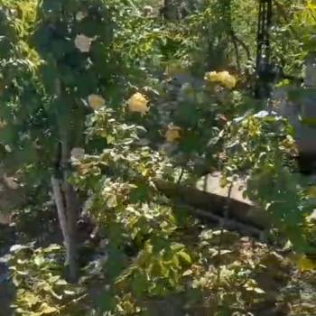 Продается Участок, 500 м²