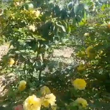 Продается Участок, 500 м²