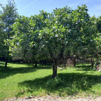 Продается Участок, 500 м²