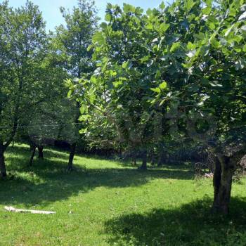 Продается Участок, 500 м²