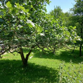 Продается Участок, 500 м²