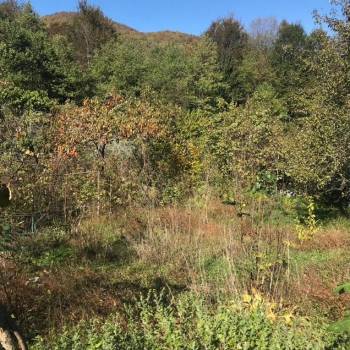 Продается Участок, 610 м²