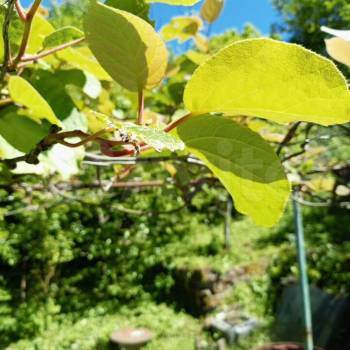 Продается Участок, 610 м²