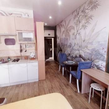 Продается 1-комнатная квартира, 21,7 м²