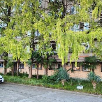 Продается 1-комнатная квартира, 24 м²