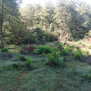 Продается Участок, 600 м²