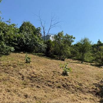 Продается Участок, 2500 м²