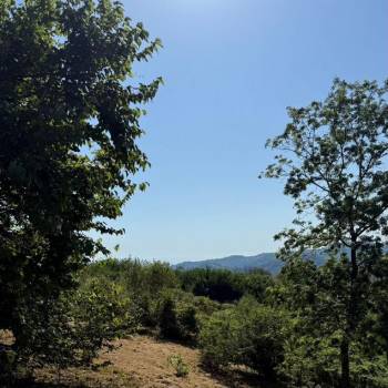 Продается Участок, 2500 м²