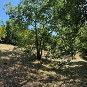 Продается Участок, 2500 м²