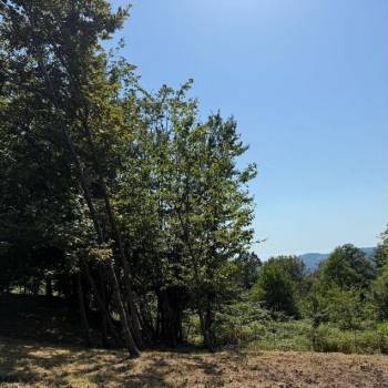 Продается Участок, 2500 м²