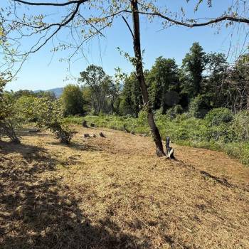 Продается Участок, 2500 м²