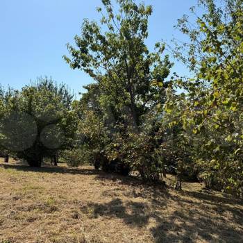 Продается Участок, 2500 м²