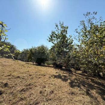 Продается Участок, 2500 м²