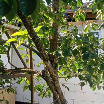 Продается Участок, 61100 м²