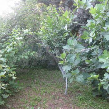 Продается Дом, 168 м²