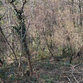 Продается Участок, 850 м²