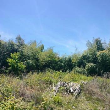 Продается Участок, 500 м²