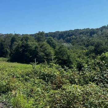 Продается Участок, 650 м²