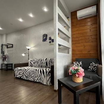 Продается 1-комнатная квартира, 23,7 м²